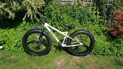 coyote ghetto fat bike